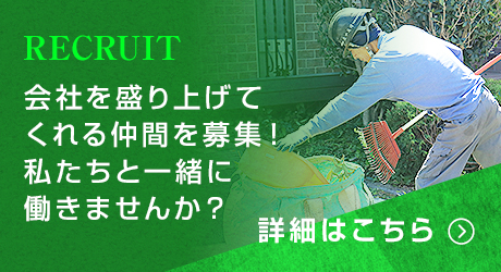 会社を盛り上げてくれる仲間を募集中！